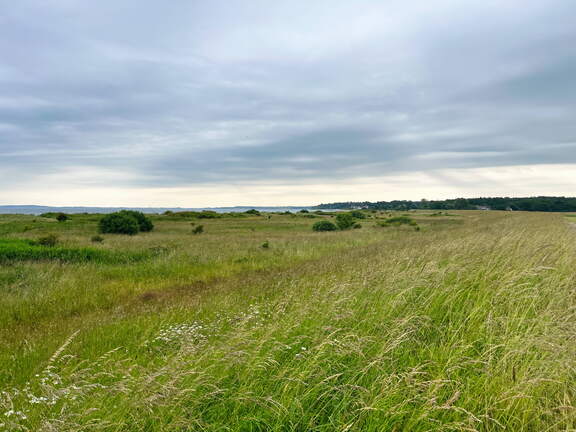 24-06-21 13-10-12 9750